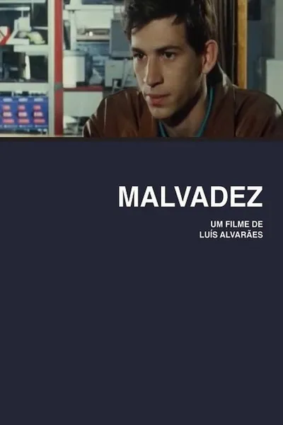 Malvadez