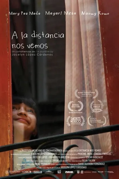 From A Distance We See Each Other