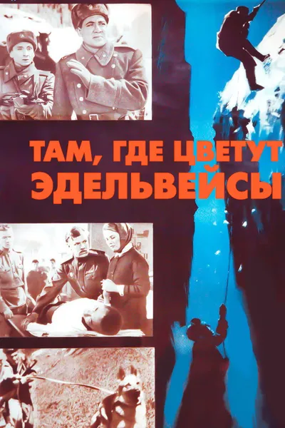 Where the Edelweiss Blooms