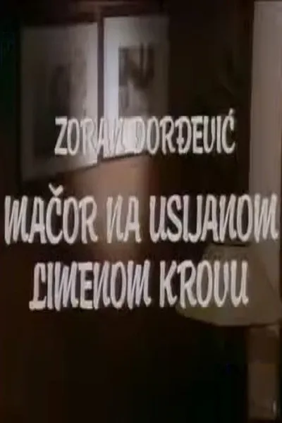 Tomcat on a Hot Tin Roof