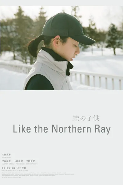 Like the Northern Ray