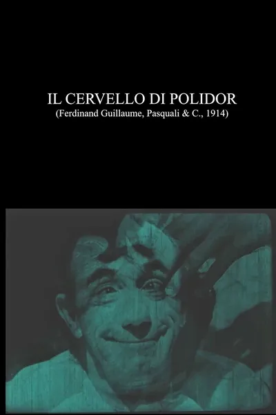Il cervello di Polidor