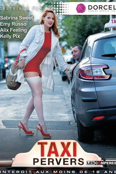 Taxi Pervers