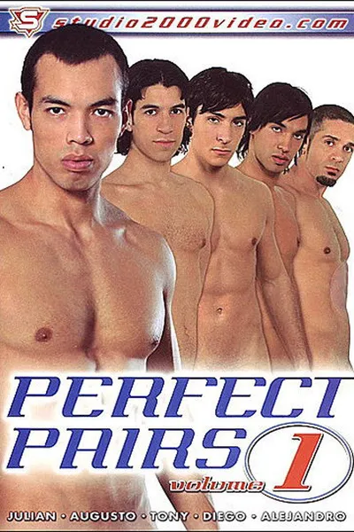 Perfect Pairs