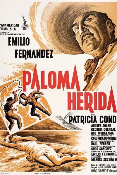 Paloma herida