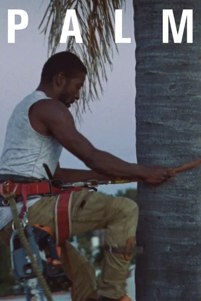 Palm