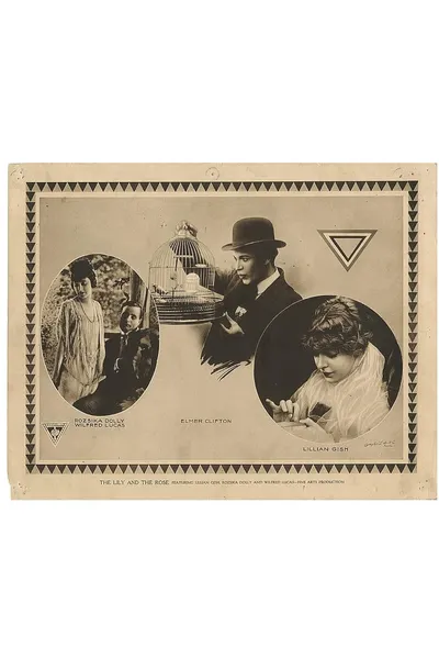 The Lily and the Rose