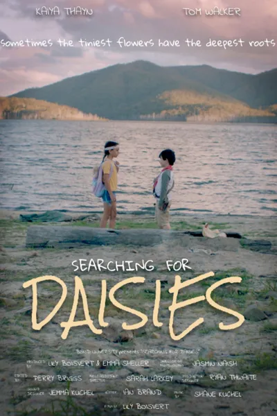 Searching for Daisies