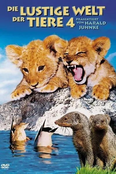 The Funny World of Animals 4