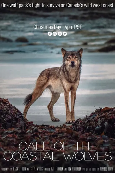 Call Of The Coastal Wolves
