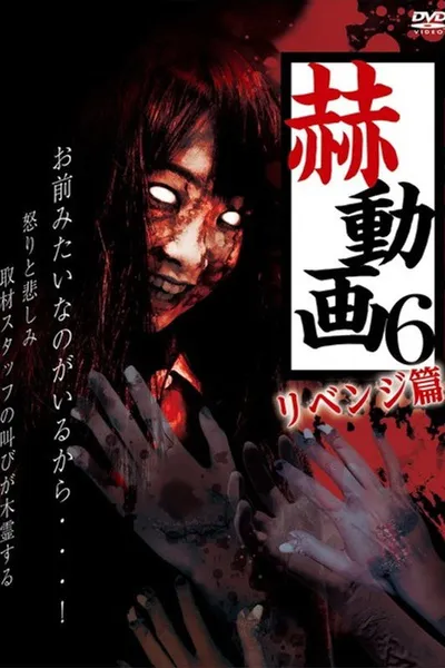 Startling Videos 6: Revenge Edition