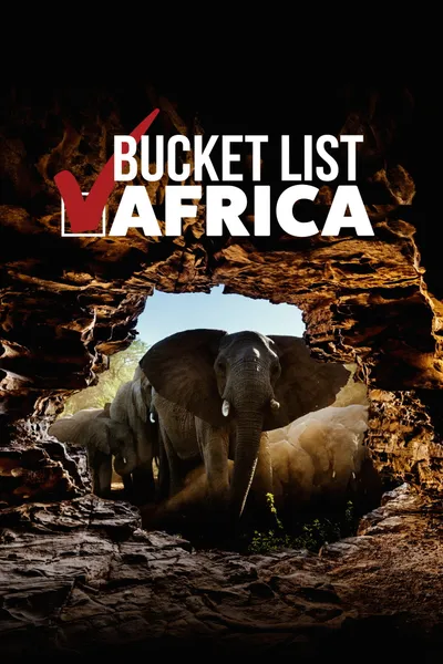 Bucket List: Africa