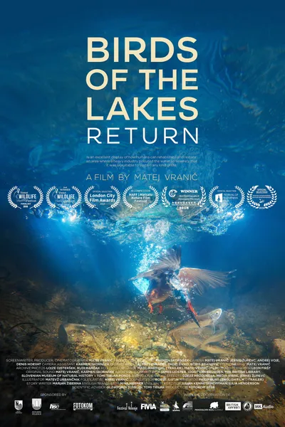 Birds of the Lakes Return