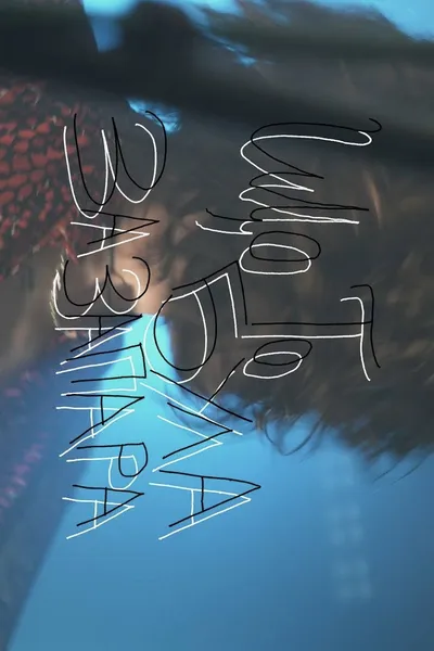 what was all that fuss about? — tour movie