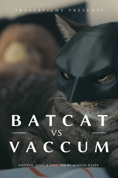 BatCat vs Vacuum