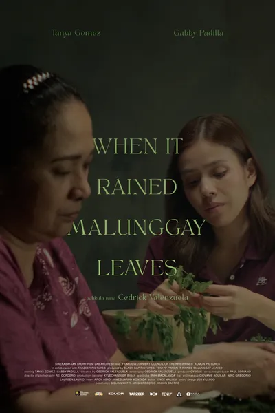 When It Rained Malunggay Leaves