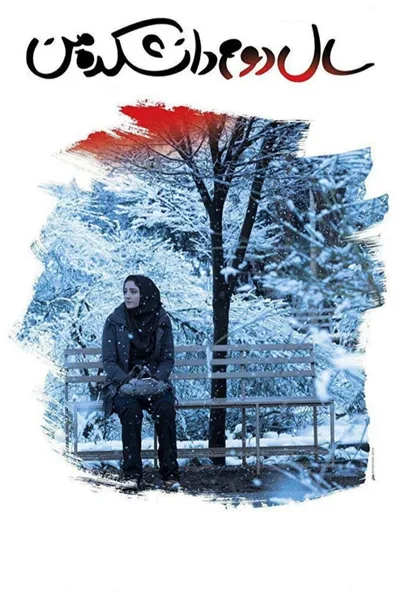 My Second Year in College