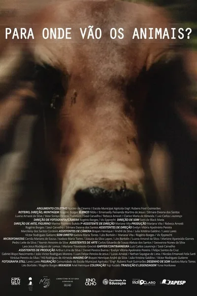 Para Onde Vão Os Animais