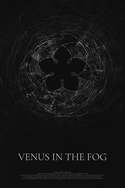 Venus in the Fog