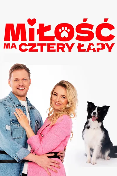Miłość ma cztery łapy