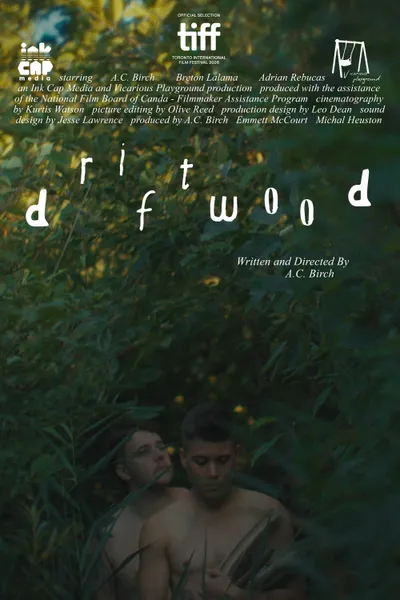 Driftwood