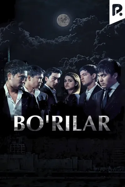 Bo'rilar