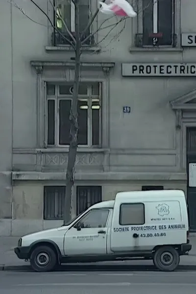 We Are All Cockroaches