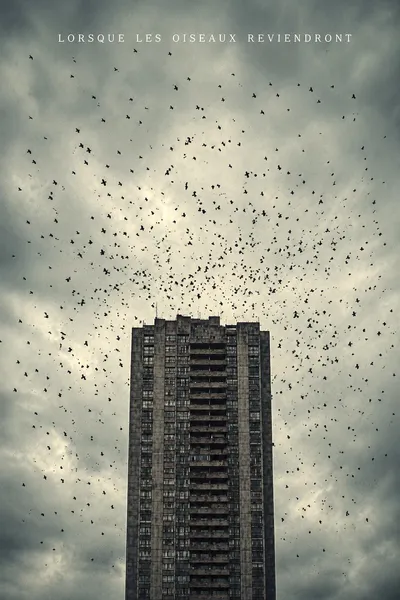 When The Birds Return