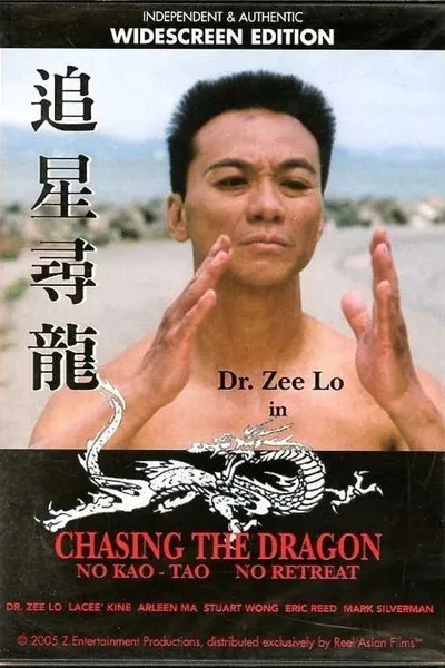 Chasing the Dragon