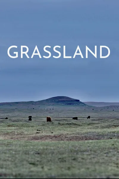 Grassland