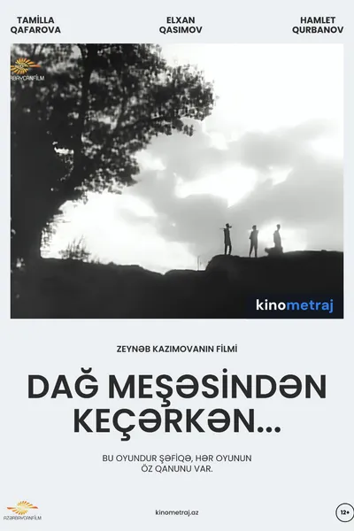 Passing through the mountain forest