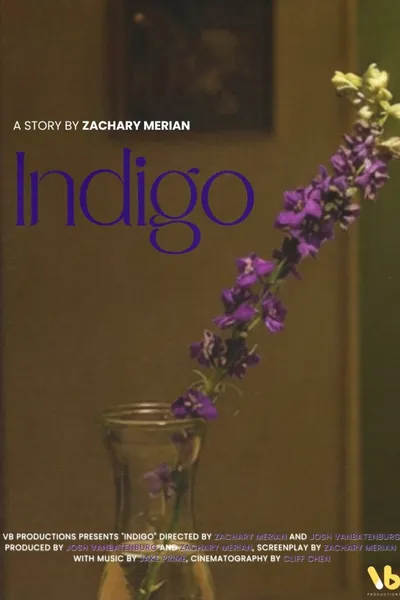 INDIGO