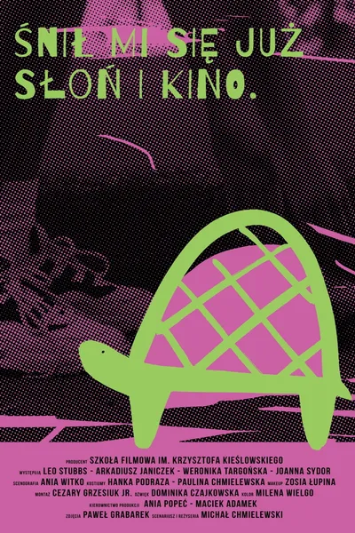 Ravik the Steppe Turtle