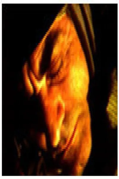 The Mysterious Object