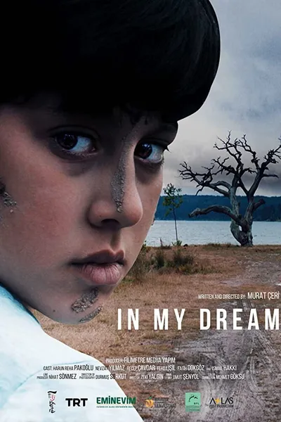 In My Dream