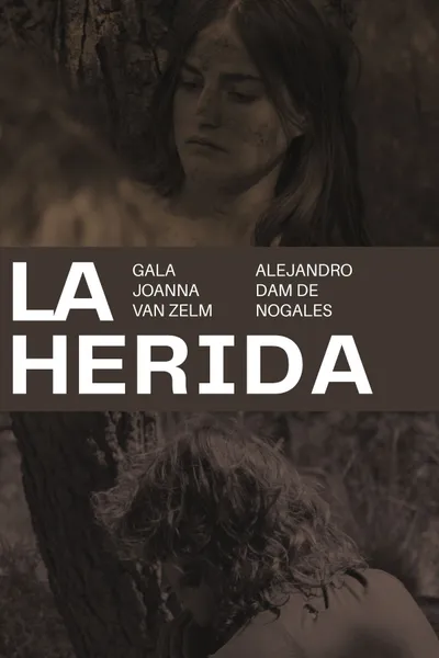 La herida
