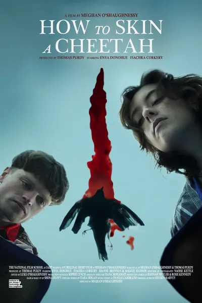 How to Skin a Cheetah