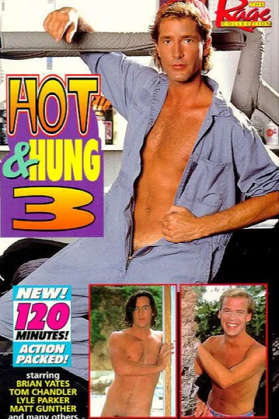 Hot & Hung 3