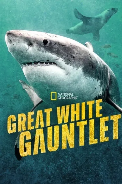 Great White Gauntlet