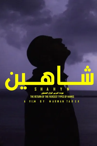 SHAHYN - THE RETURN OF THE FIERCEST TYPES OF HAWKS