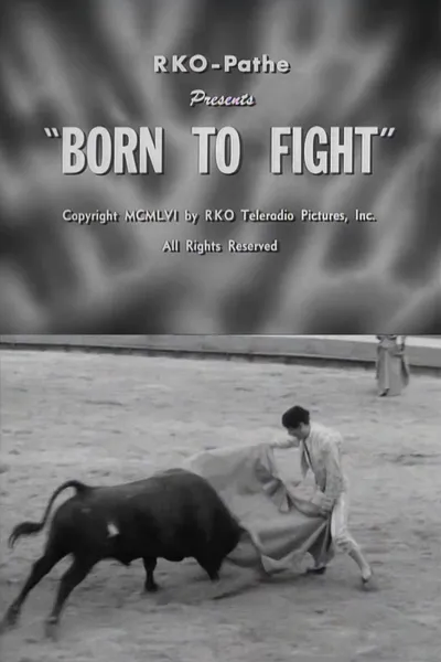 Born to Fight
