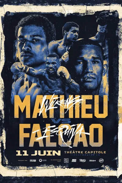 Wilkens Mathieu vs. Esquiva Falcao
