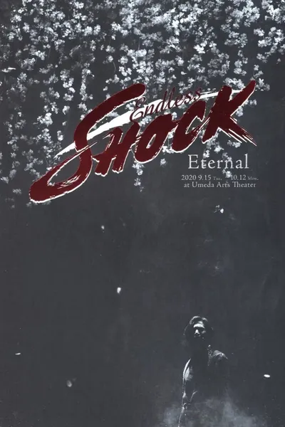 Endless SHOCK 20th Anniversary -Eternal-