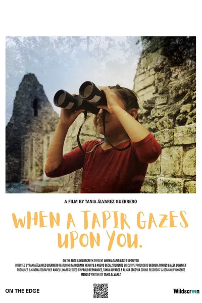 The Mayan Forest: When a Tapir Gazes Upon You