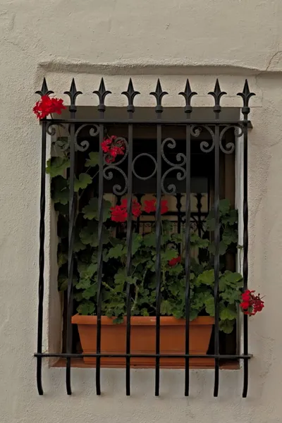 Las calles que nos quedan