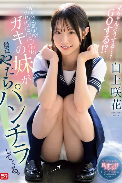 ちょっと前までプロレスごっこしてたガキの妹が最近やたらパンチラしてくる。兄ちゃんどうする・・・? GOする!?