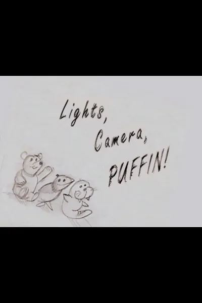 Elf: Lights, Camera, Puffin!