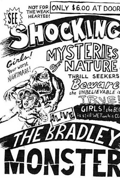 Basket Case 3-1/2: An Interview With Duane Bradley