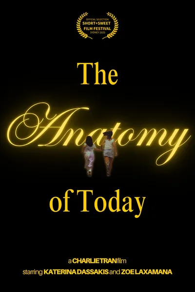 The Anatomy of Today