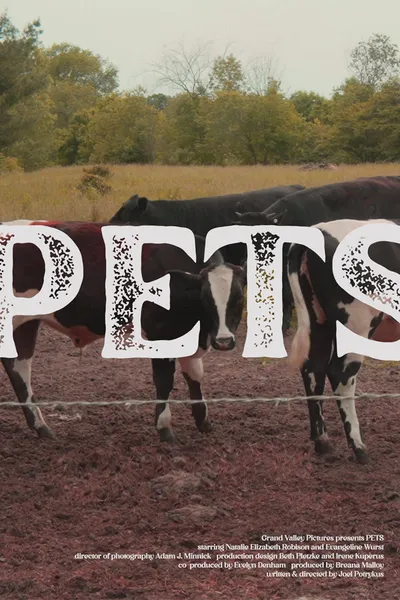 Pets